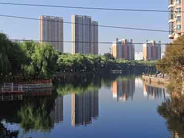榕树苗怎么培育盆景（榕树苗培育盆景技巧全解析，打造独特家居绿意）